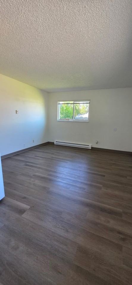 447 S 13th St - Photo 4 of 7