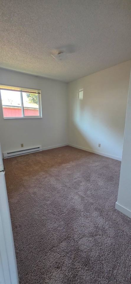 447 S 13th St - Photo 5 of 7