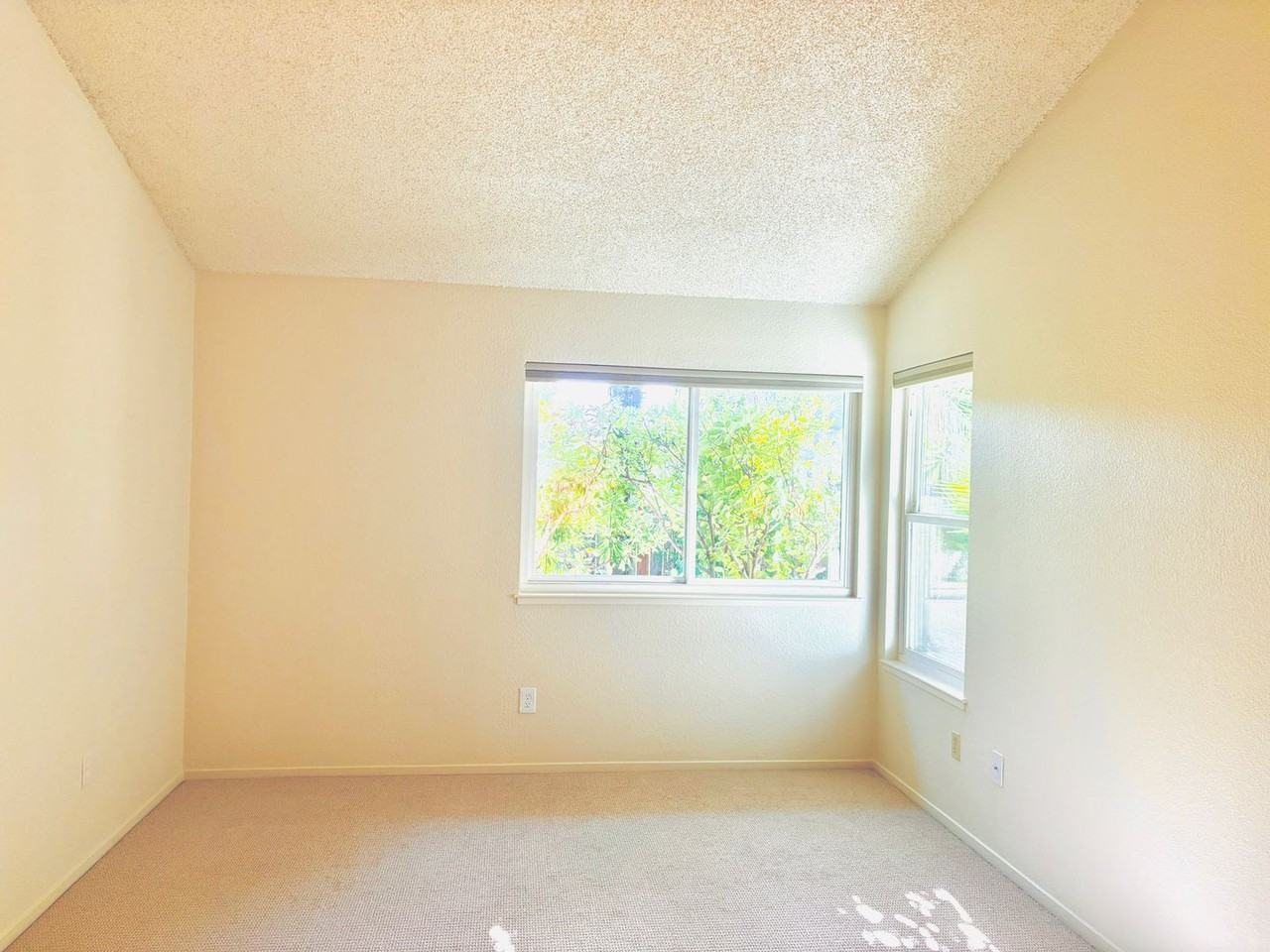 1211 Capri Way - Photo 5 of 50