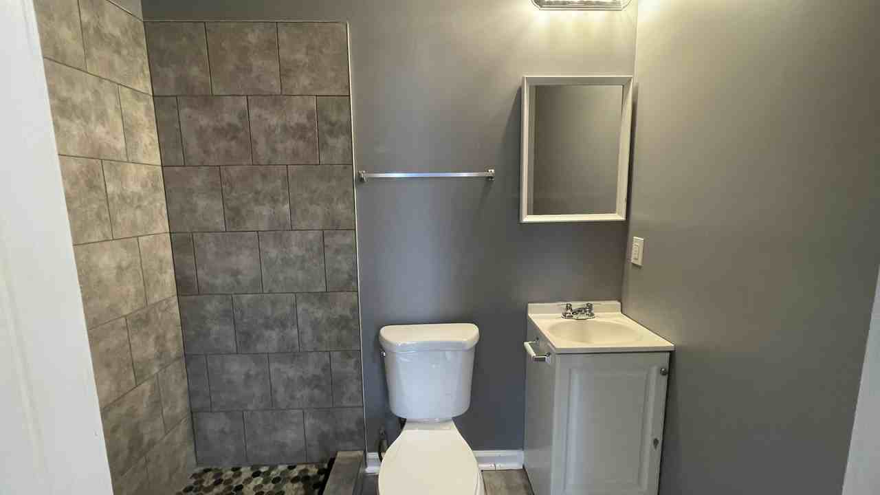 1520 N. Caroline Street - Photo 4 of 50