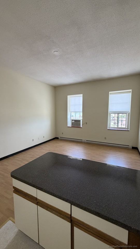 11 Willow St #405 - Photo 5 of 22