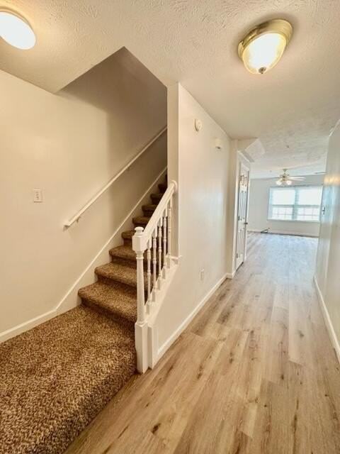 209 Swaying Pine Ct - Photo 3 of 29