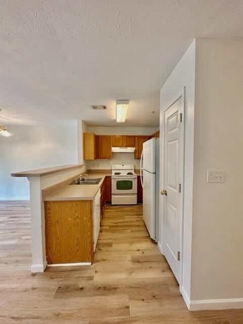 209 Swaying Pine Ct - Photo 5 of 29