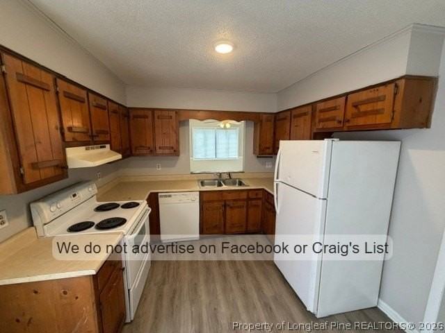7023 Salinas Ct - Photo 5 of 13