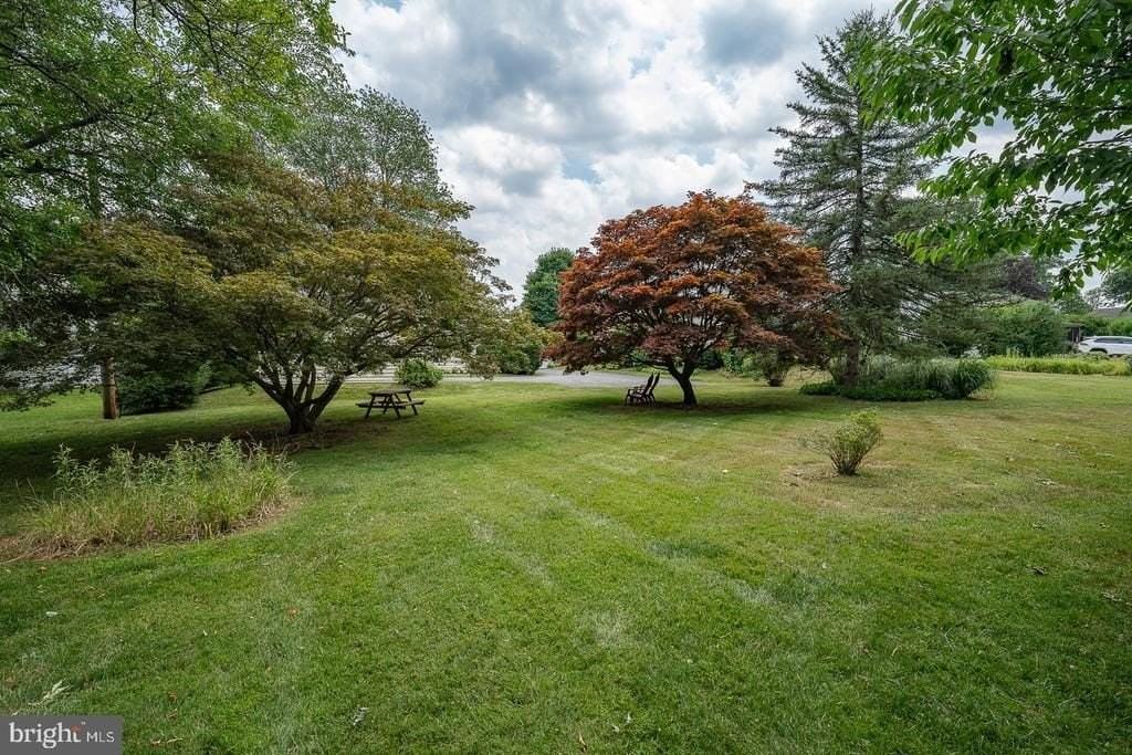 533 Monument Ave - Photo 4 of 36