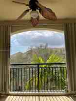 4408 Renaissance Way #408 - Photo 1 of 1