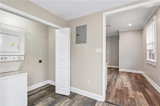 2321 Chartres St #B - Photo 5 of 7