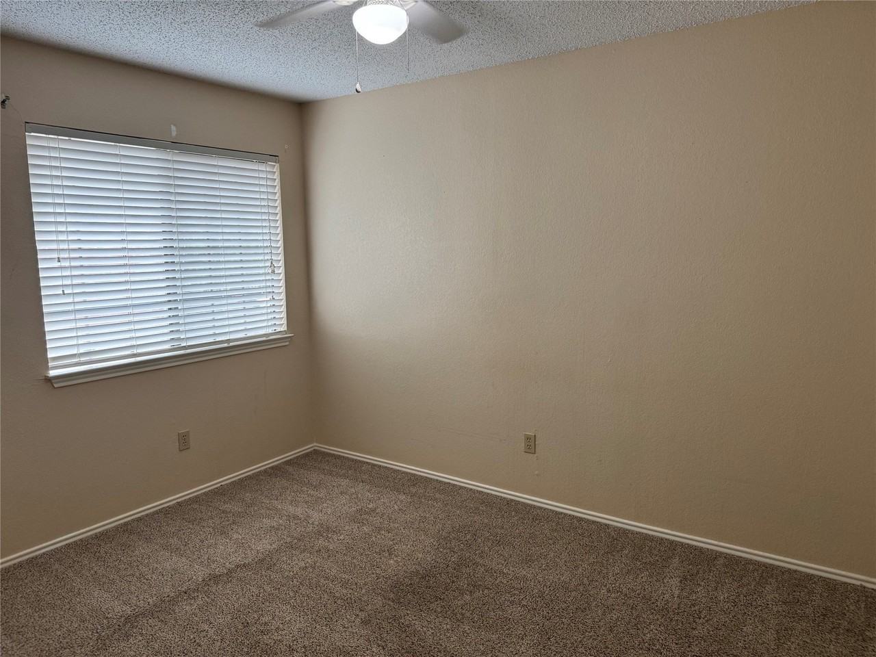 6805 Dalmation Cir - Photo 6 of 14
