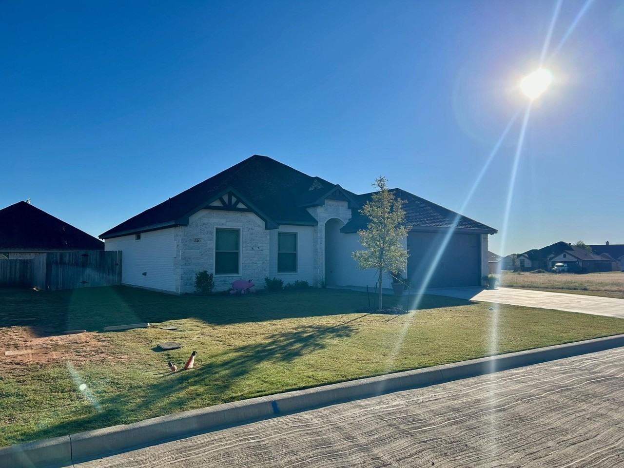 530 Calla Lily Way - Photo 2 of 19