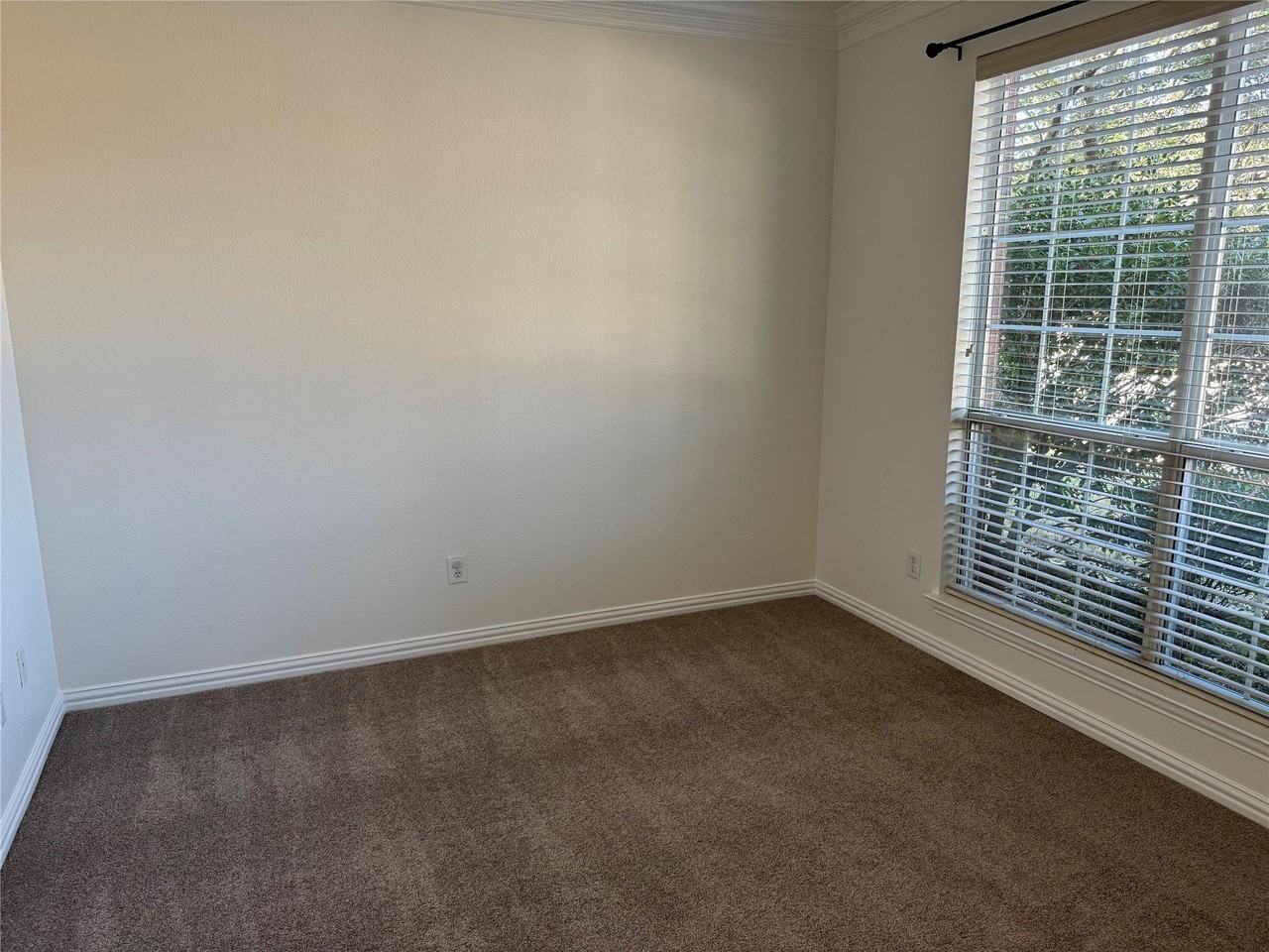 1612 Sweetbay Dr - Photo 3 of 20