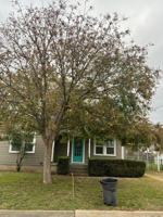 featured image of 603 Estel St