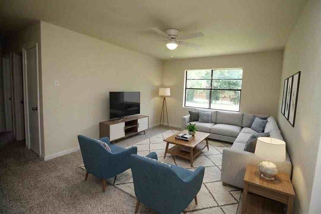 902 Lindo Dr - Photo 3 of 19