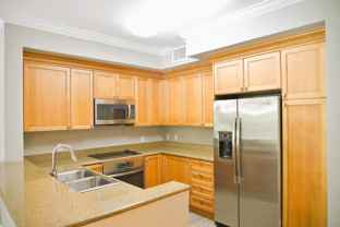 1660 Renaissance Commons Blvd #2329 - Photo 1 of 1