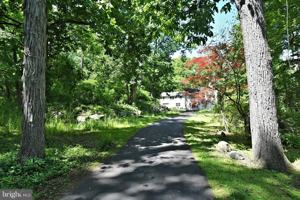 featured image of 265 Windy Bush Rd