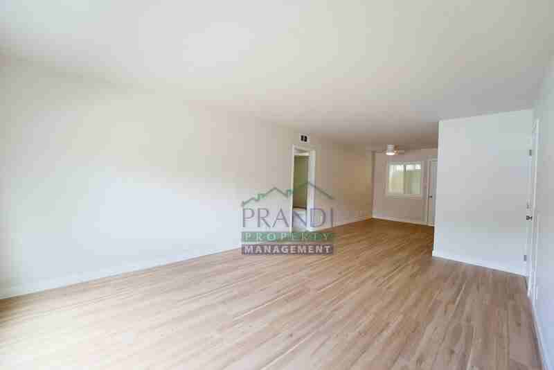 1032 Los Gamos Rd #D - Photo 5 of 16