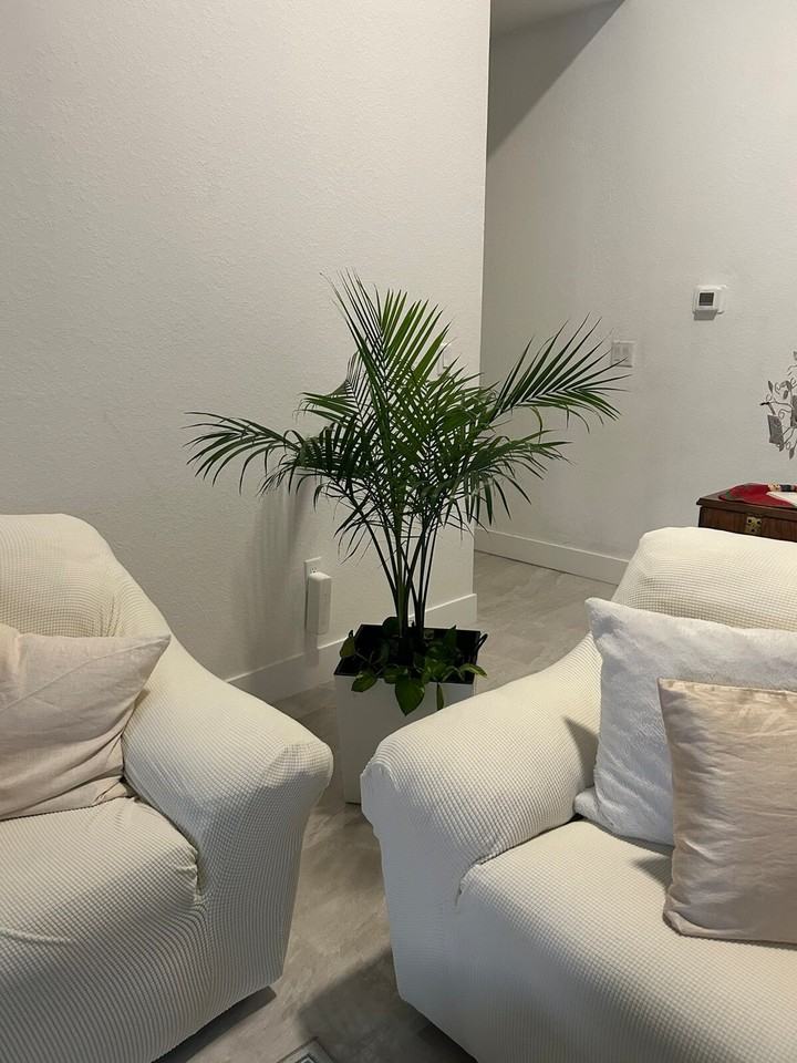 14779 Sw 38th St #1542204P - Photo 3 of 50