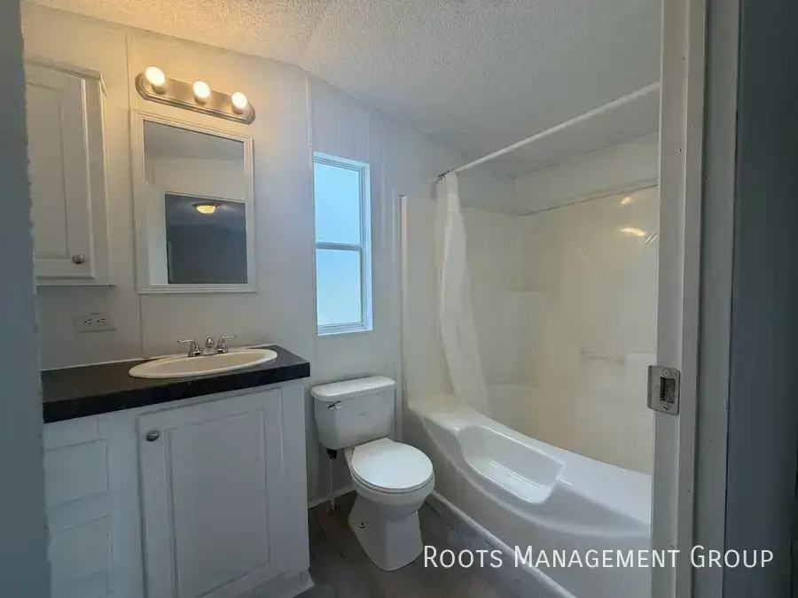 387 Webster Rd #163 - Photo 5 of 17