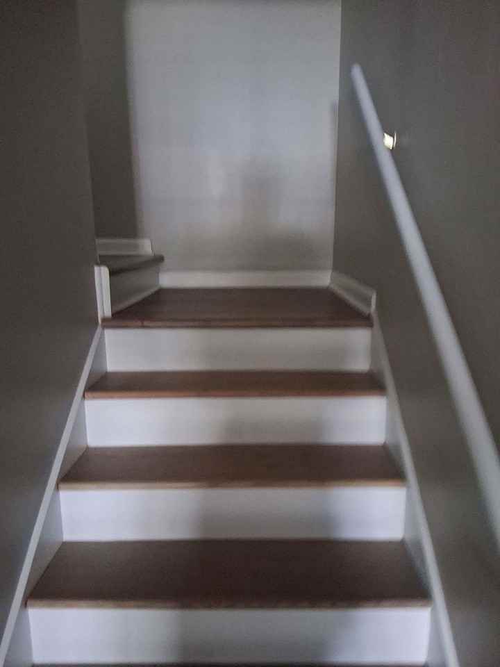 1847 Woodland Trl - Photo 3 of 11