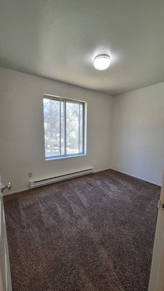 350 S 1st St #8 - Photo 2 of 7