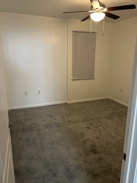 912 Southmoor Dr #204 - Photo 5 of 15