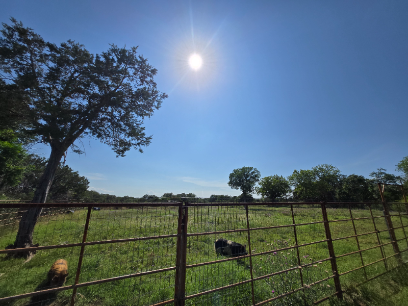 606 Blessing Ranch Rd #1 - Photo 5 of 18
