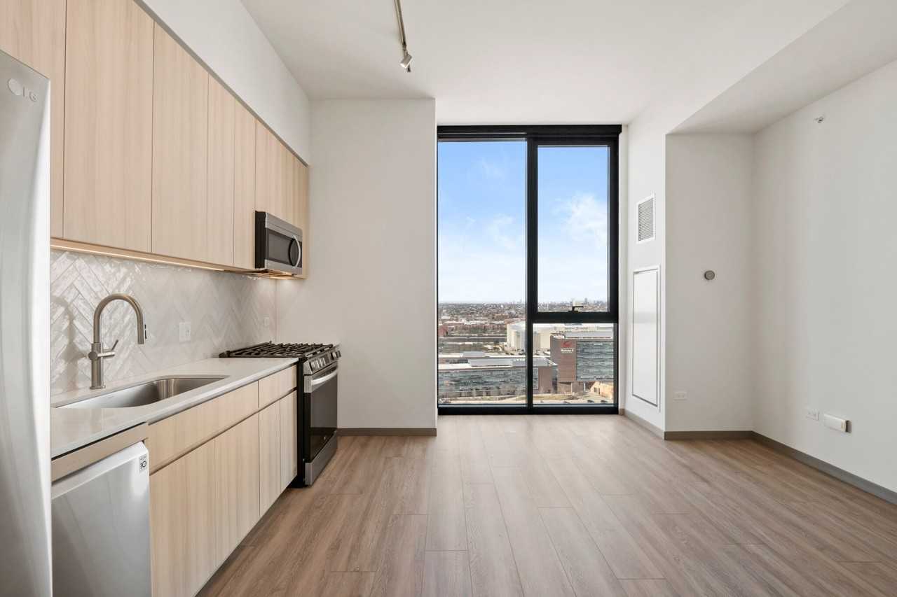 509 W Damen Ave - Photo 2 of 18