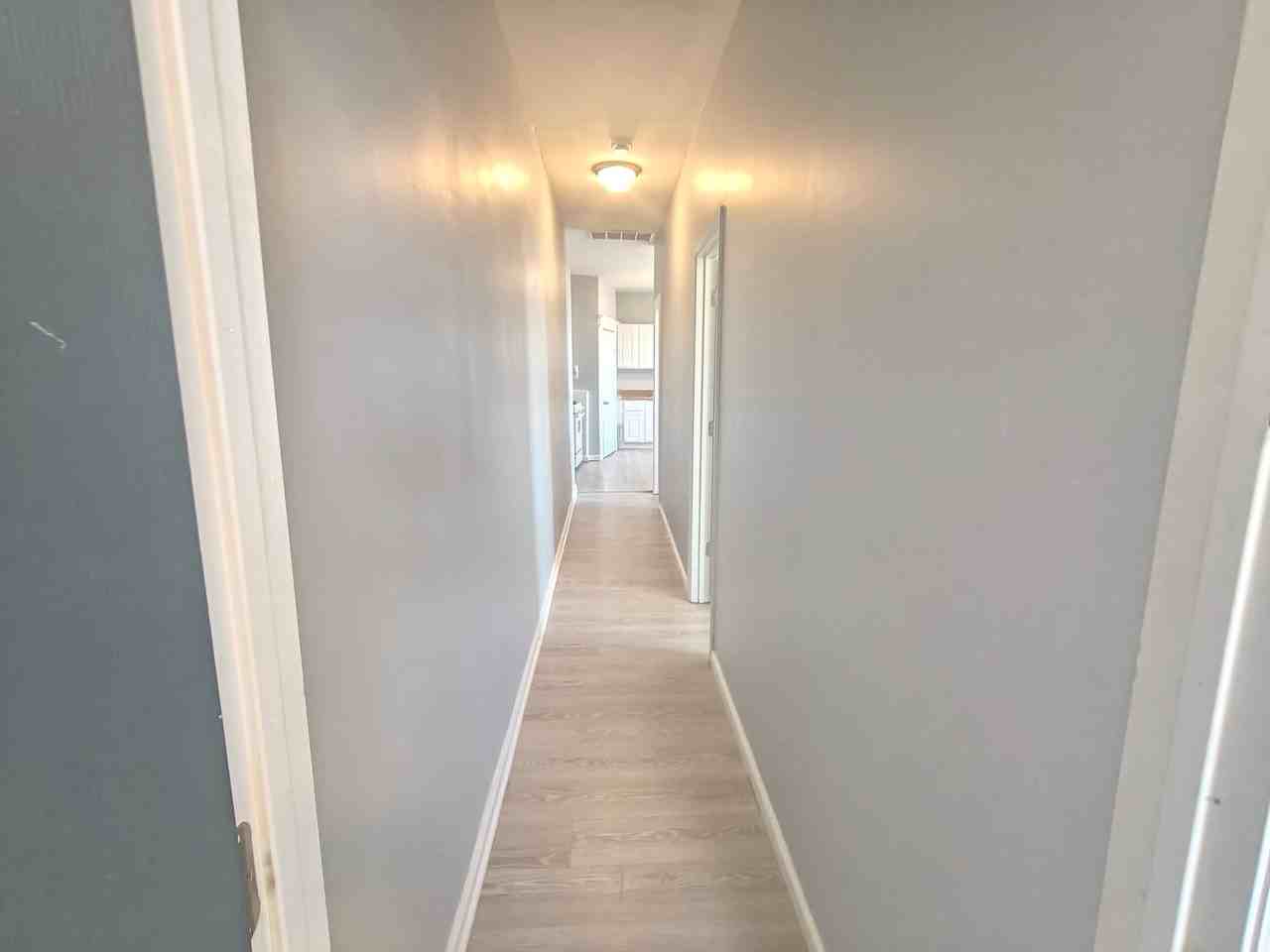 319 Coit St #6 - Photo 3 of 7