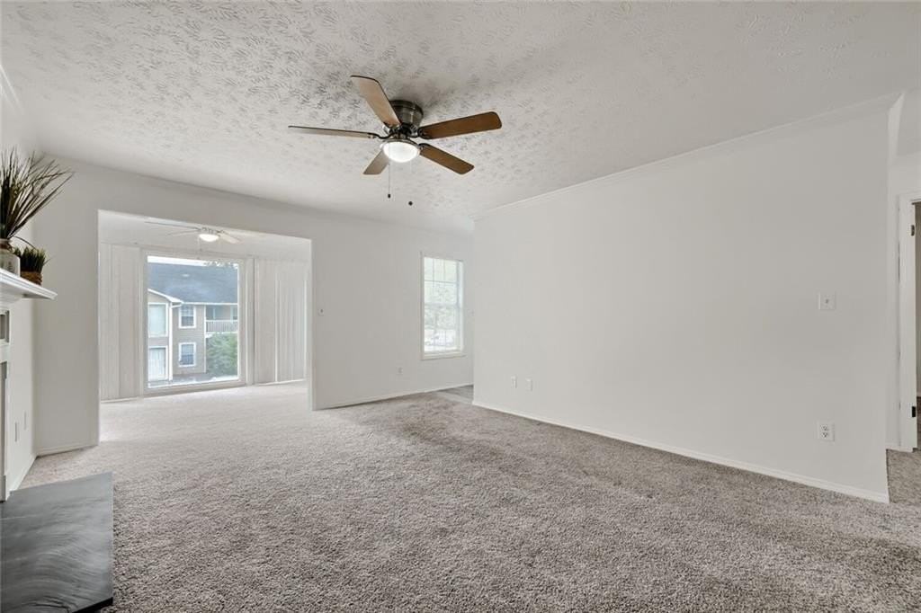 905 Augusta Dr - Photo 5 of 17