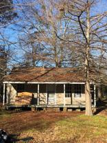 7024 Elsie St - Photo 1 of 1