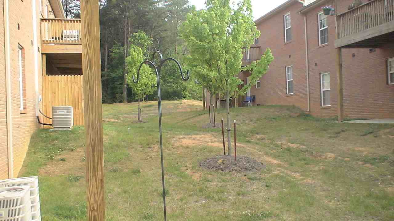 4825 Poplar Crest Way - Photo 3 of 3