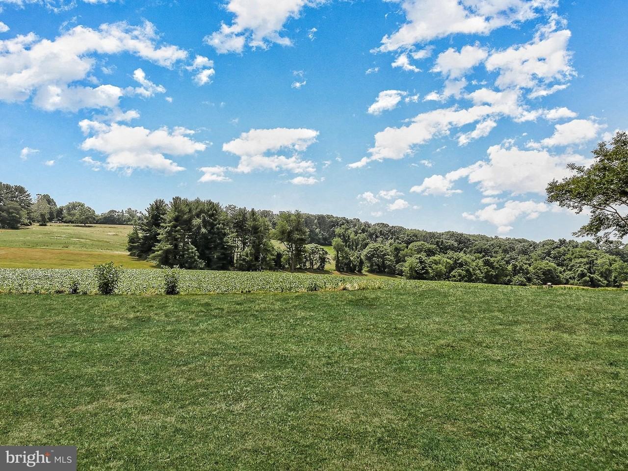 2121 Traceys Rd - Photo 5 of 50