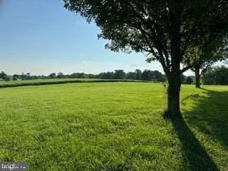 2121 Traceys Rd - Photo 6 of 50