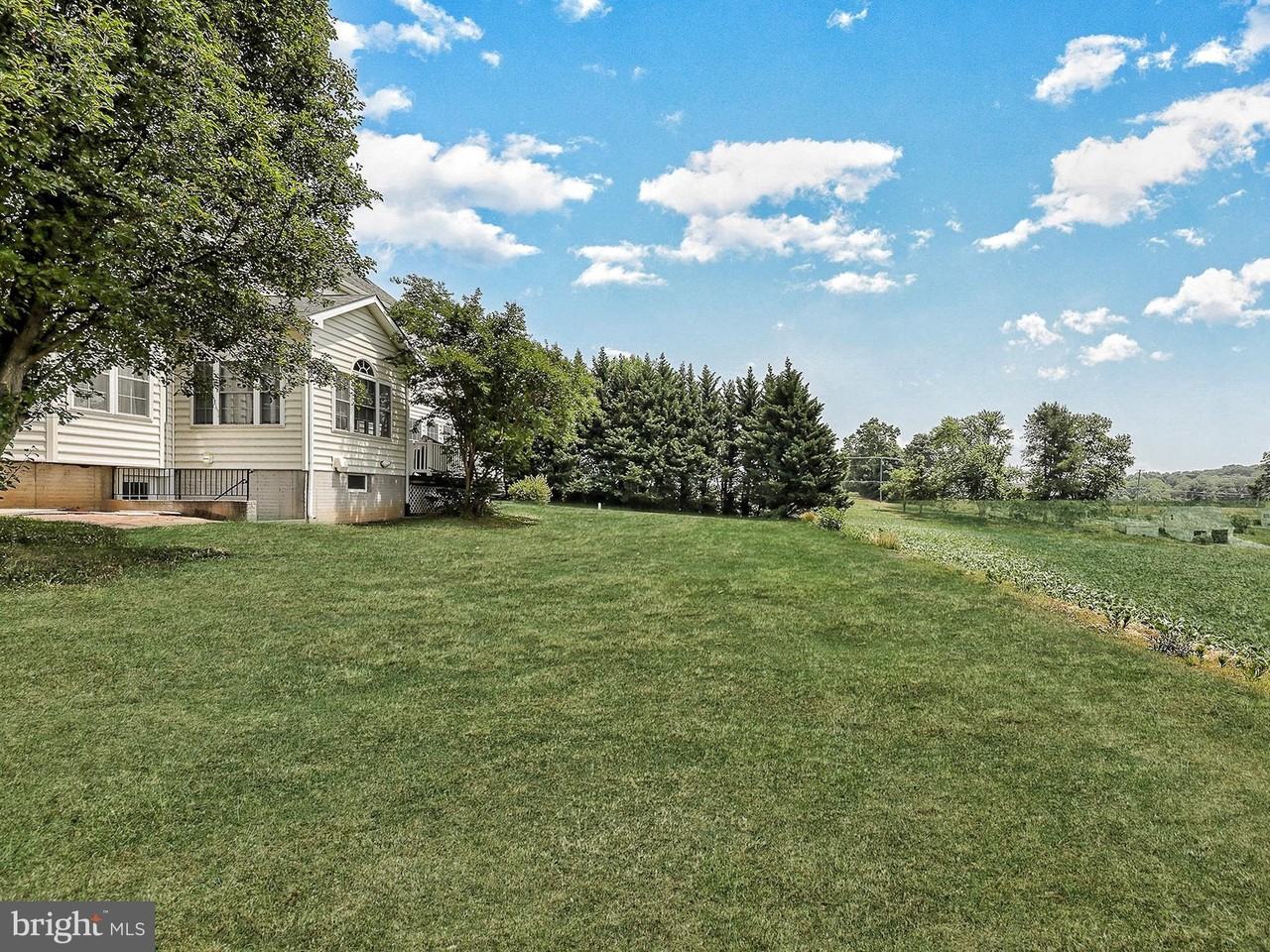 2121 Traceys Rd - Photo 7 of 50