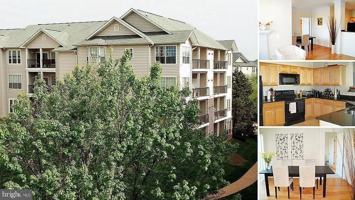 featured image of 1600 Spring Gate Dr #2303