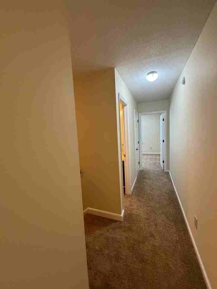 1652 India Hook Rd - Photo 4 of 11