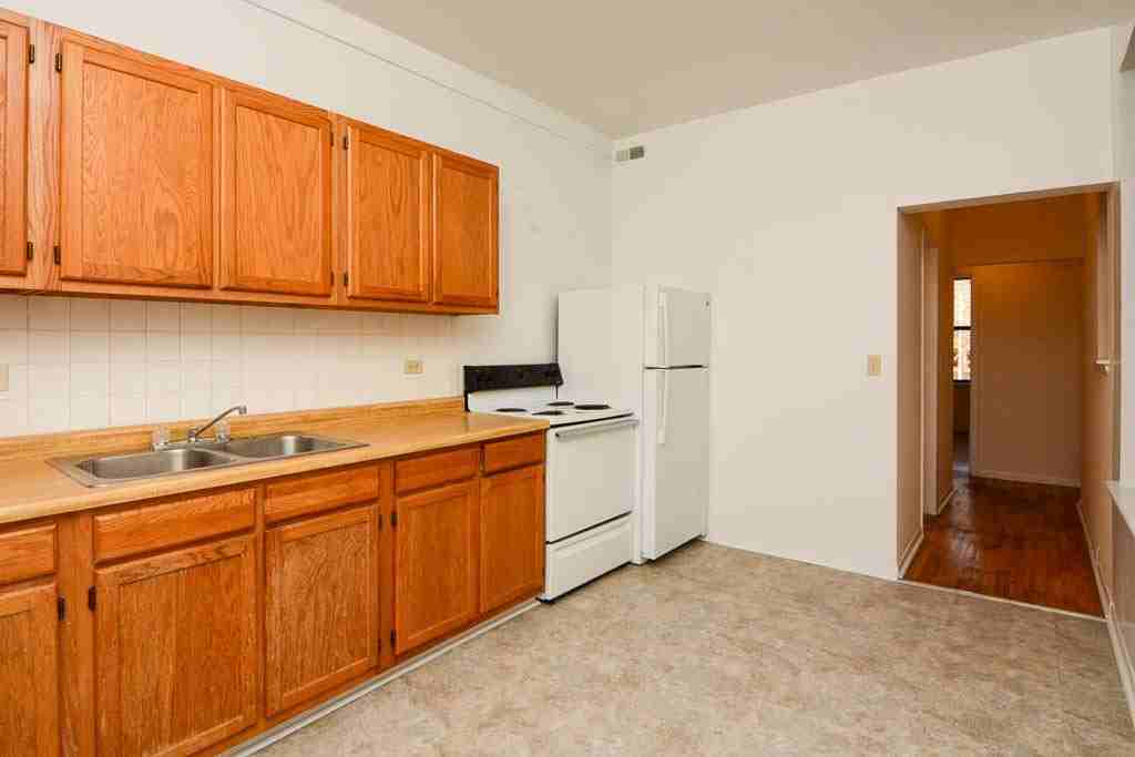 2319 N Kedzie Blvd #1F - Photo 4 of 21