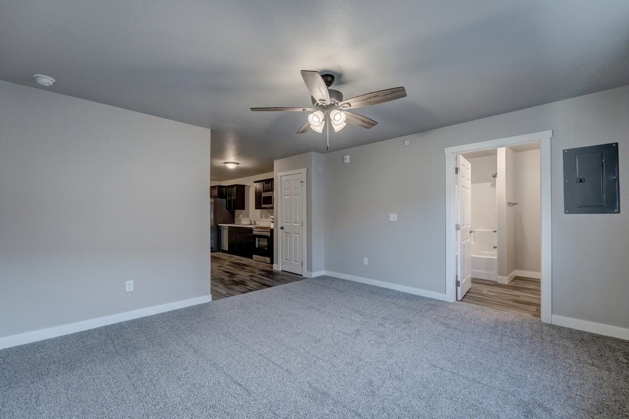 4823 5th Street - Photo 5 of 50