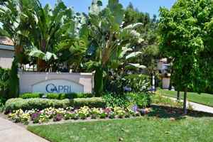 featured image of 7205 Calabria Ct