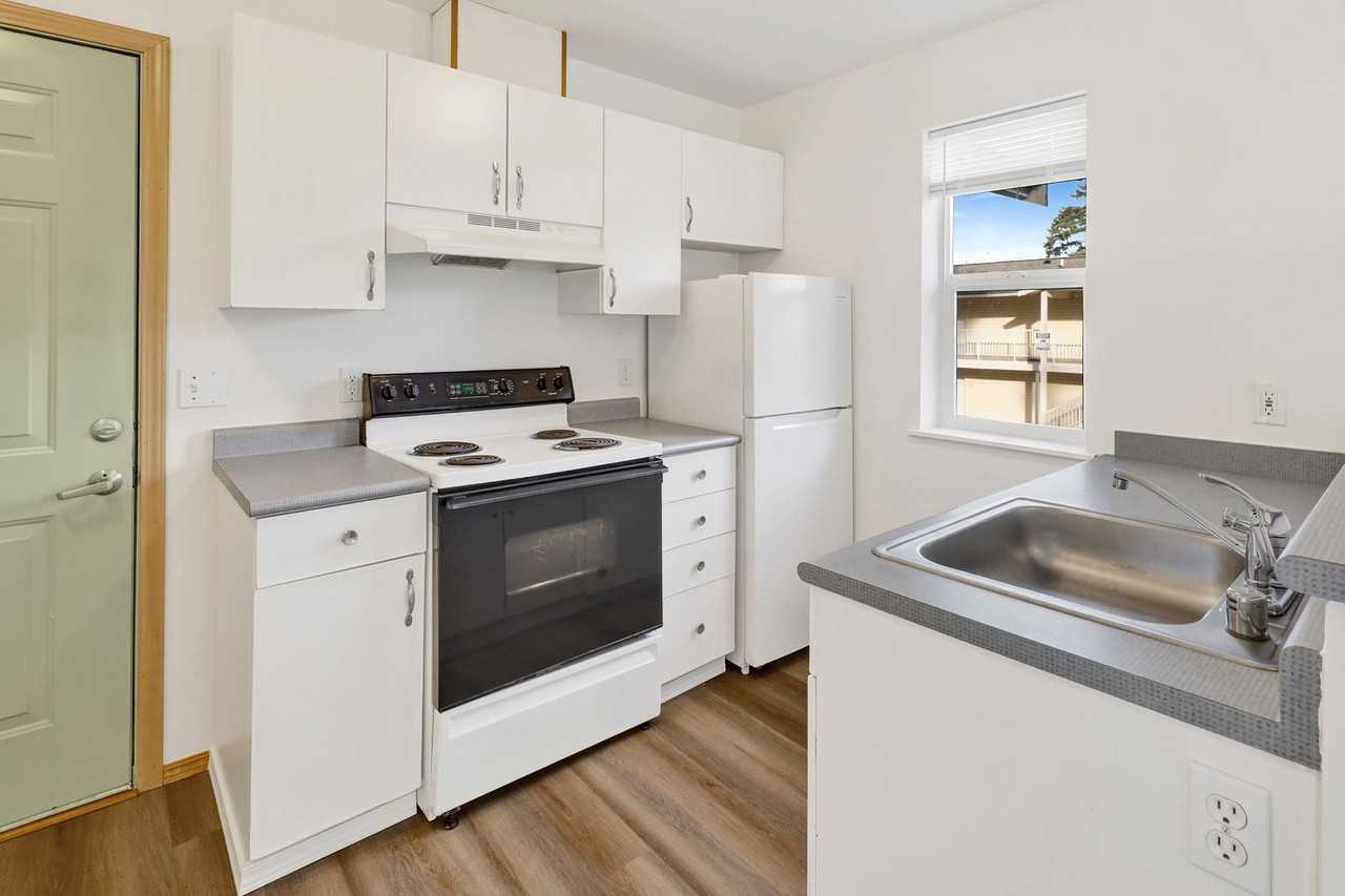 Studio Apartment for Rent in Bellingham! - Photo 3 of 24