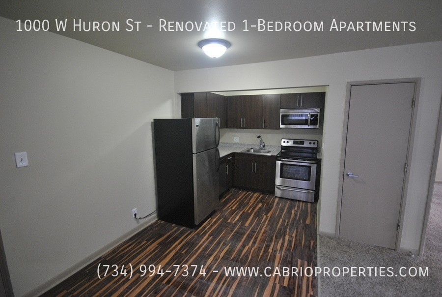 Atrio Apartments (1000 W. Huron) - Photo 4 of 30