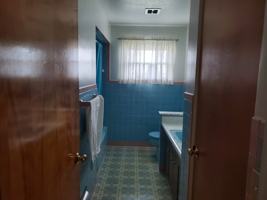 featured image of 229 Elaine St #NA
