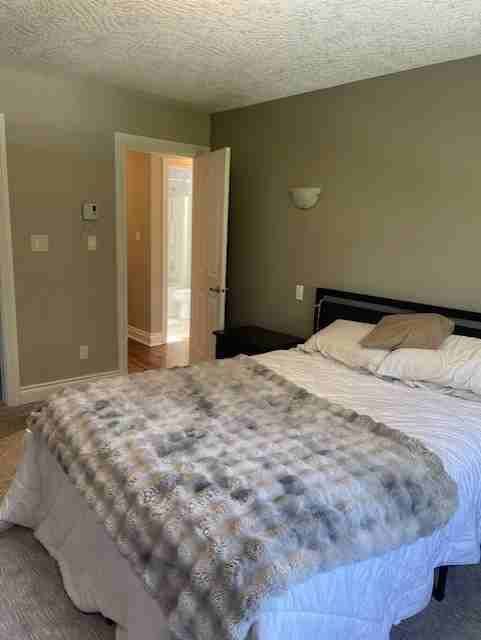 3288 Happy Valley Rd #1 - Photo 6 of 17