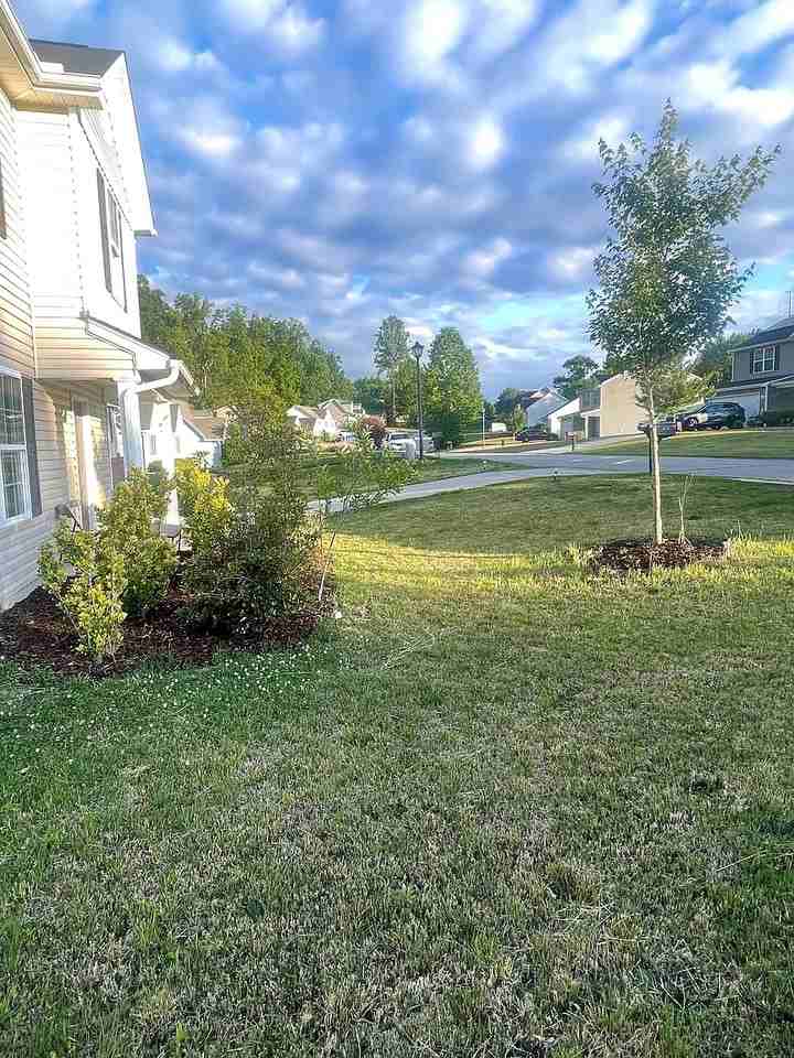 4129 Meredith Woods Ln - Photo 2 of 12