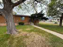 featured image of 1184 Brook St