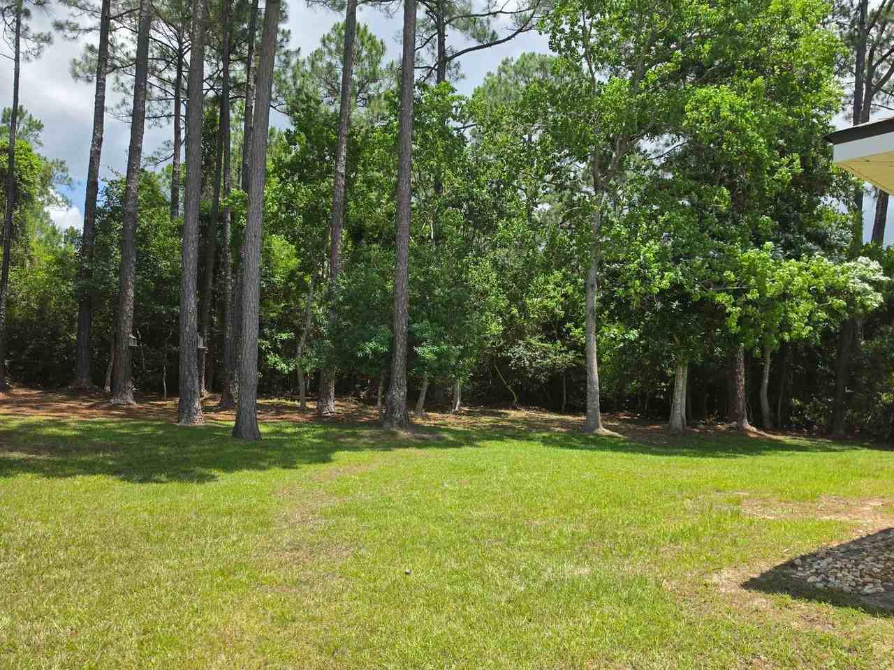 24381 Sailfish Ln - Photo 5 of 33