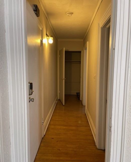 548 Fulton St E #3 - Photo 7 of 10