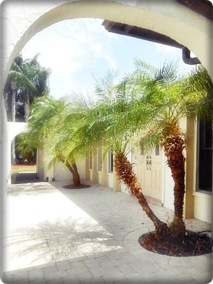 1837 Seafan Cir - Photo 3 of 32