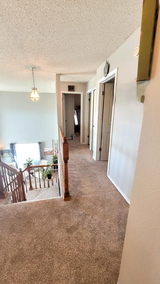 2010 Bramblwood Ln - Photo 6 of 33