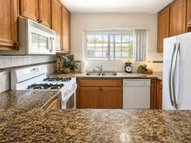 8306 W. Manchester Ave. - Photo 1 of 1