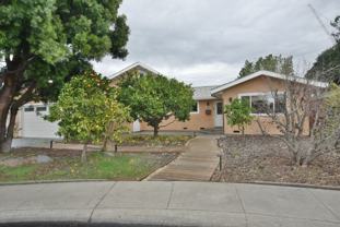 886 Bayleaf Ct - Photo 1 of 1